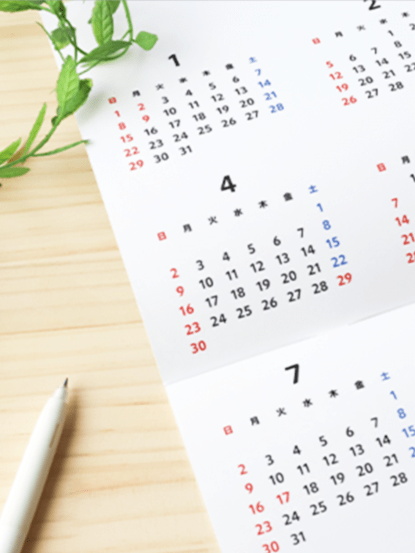 年間スケジュール